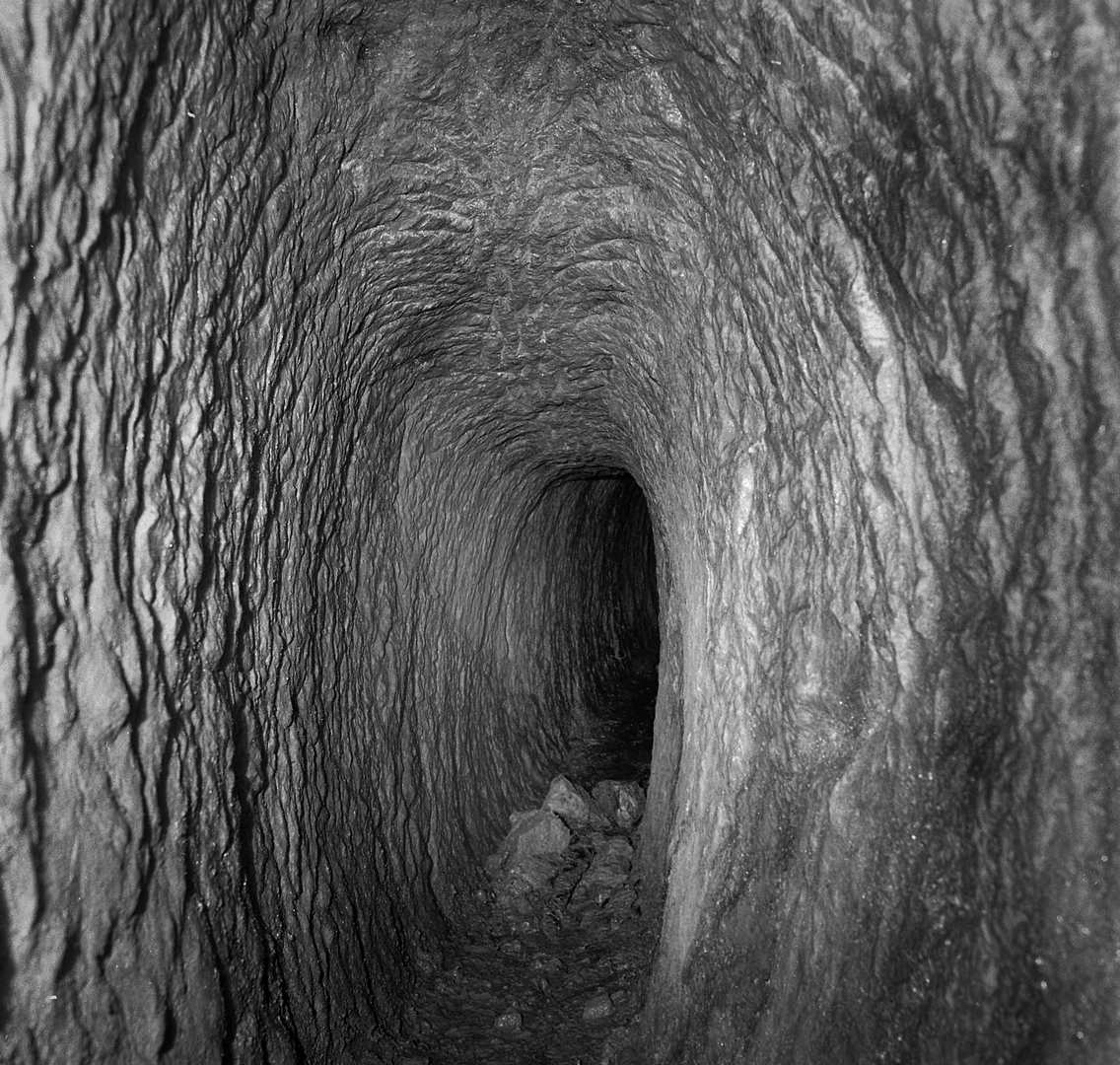 Coffin Level approx 3 feet high in Masson mines 1975, submitted by Dickie Bird on 20-03-2026.
© Richard Bird Coffin Level approx 3 feet high in Masson mines 1975